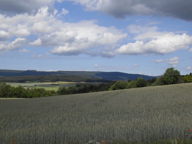 Rhoen-Radmarathon Nichtraucher 547